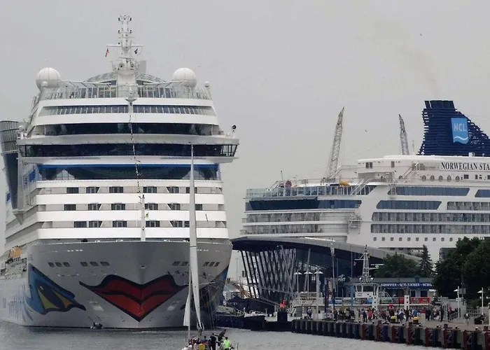 Krause Comfortable *